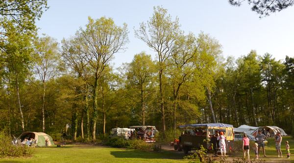 Ook heerlijk in de zon op een bosrijkeplaats