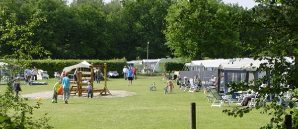 kampeerveld met heerlijk gras en een speeltoestel voor de kinderen