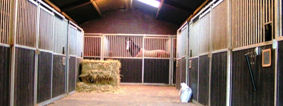 U op de kampeerplaats en uw paard in een prachtige stal