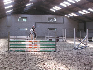 Stal Zielman heeft een eigen binnenbak maar niets is lekkerder met je paard door het bos