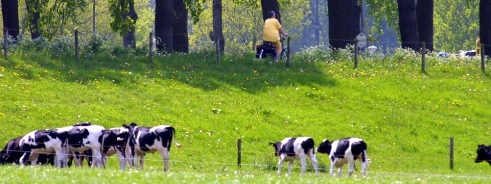 heerlijk fietsen in het Vechtdal